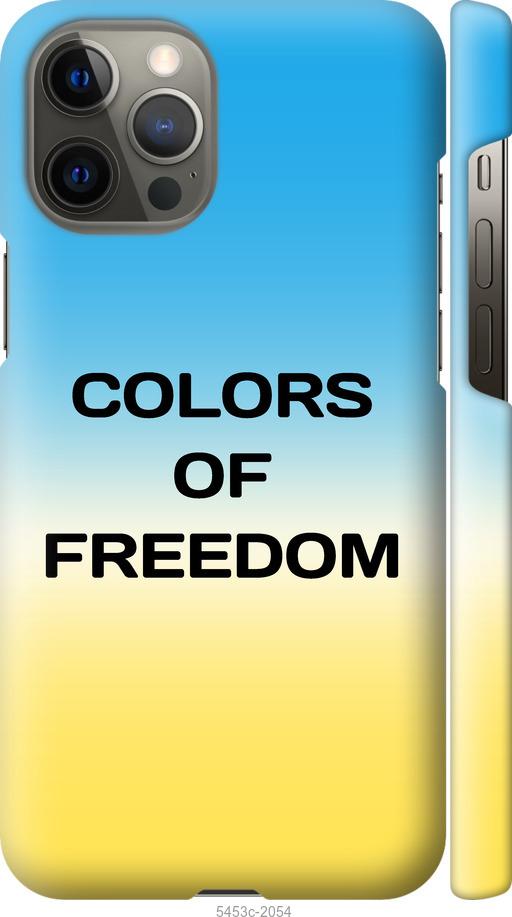 Чехол на iPhone 12 Pro Max Colors of Freedom