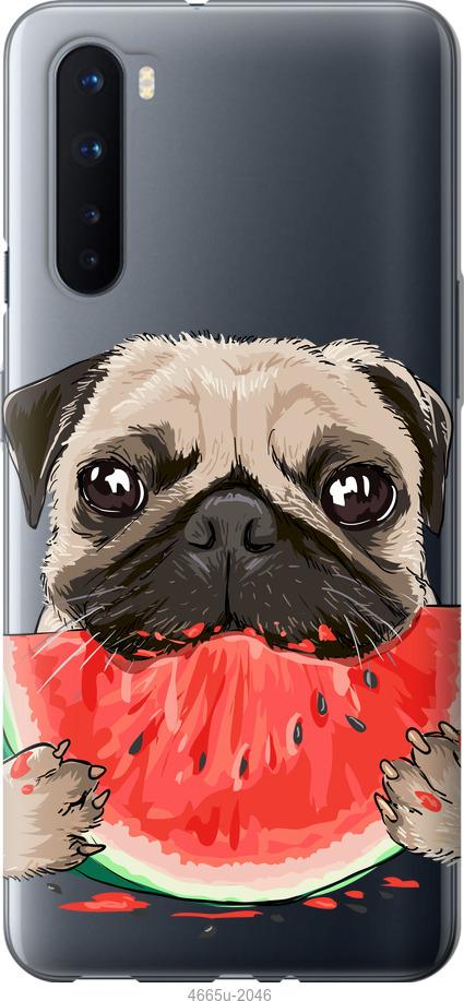 

Чехол на OnePlus Nord Мопс и арбуз