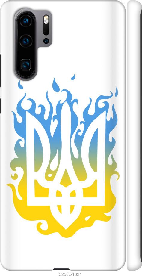 

Чехол на Huawei P30 Pro Герб v1