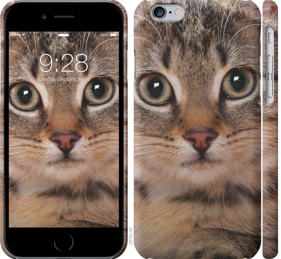 

Чехол на iPhone 6s Полосатый котик
