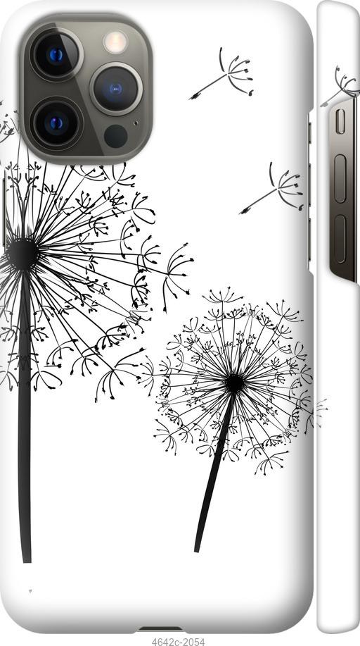 

Чехол на iPhone 12 Pro Max Одуванчики