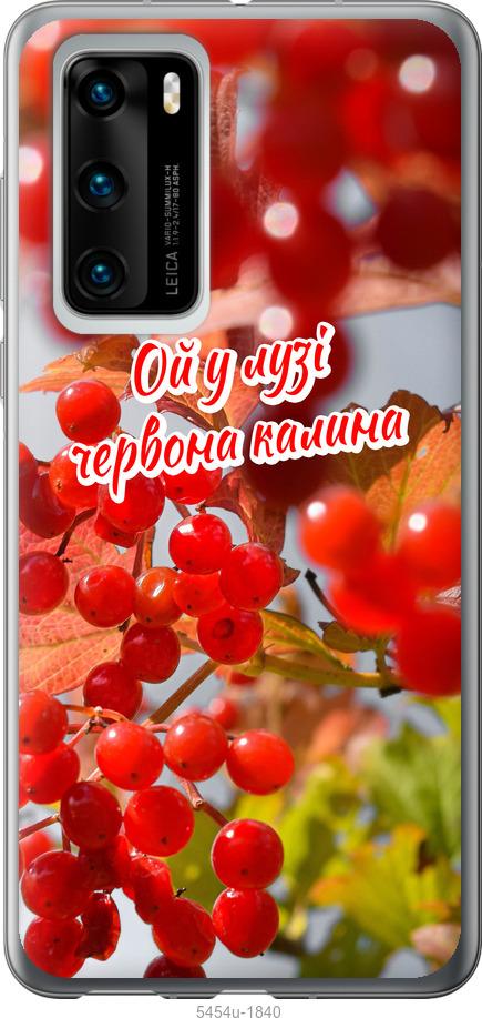 

Чехол на Huawei P40 Калина