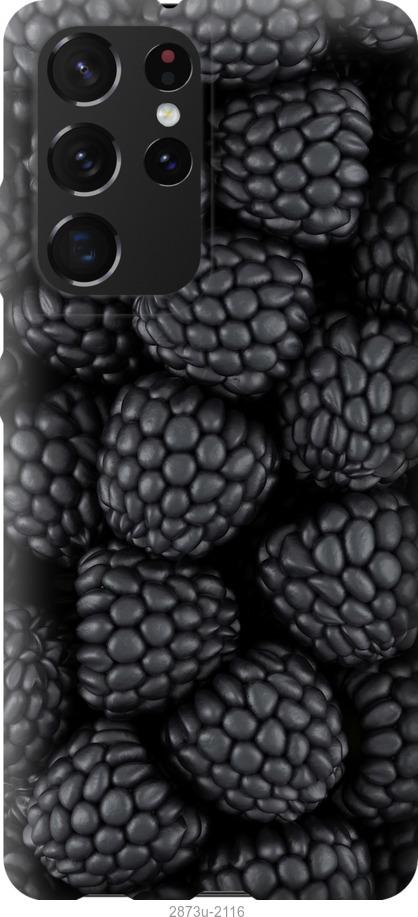 

Чохол на Samsung Galaxy S21 Ultra Чорна ожина