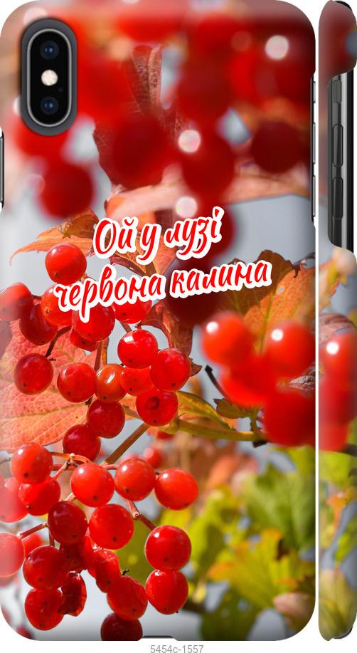 

Чехол на iPhone XS Max Калина