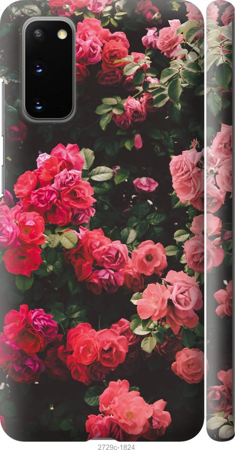 

Чехол на Samsung Galaxy S20 Куст с розами