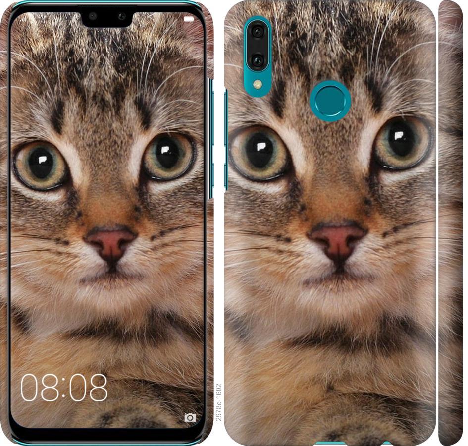 

Чехол на Huawei Y9 2019 Полосатый котик