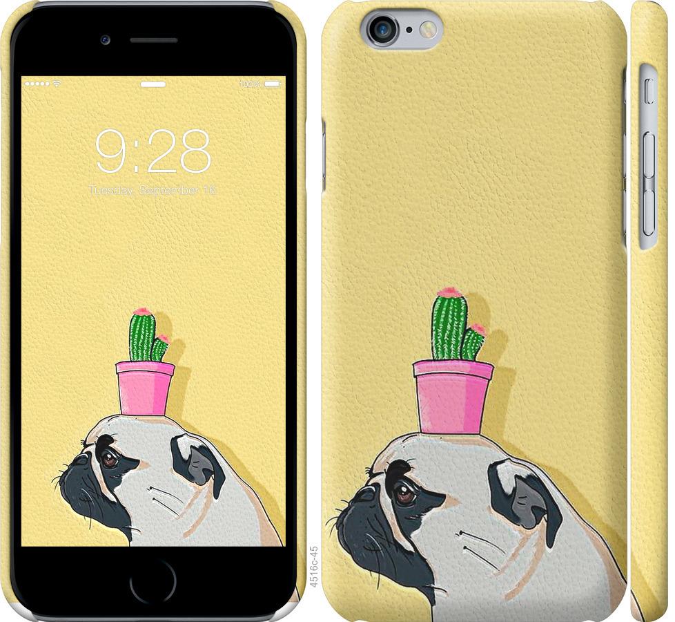 Чехол на iPhone 6s Мопс с кактусом