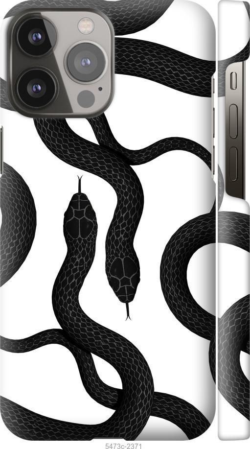 

Чехол на iPhone 13 Pro Max Змеи