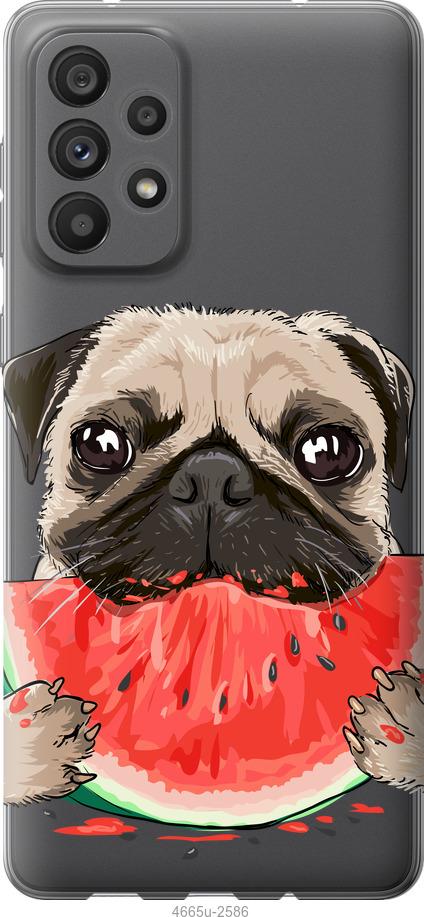 

Чехол на Samsung Galaxy A73 A736B Мопс и арбуз